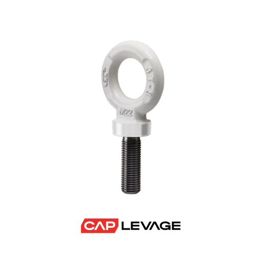 ANNEAU DE LEVAGE MALE M18 GRADE 80 CMU 2 T